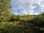 Bos te koop in Balen, Immo, Tot 200 m²