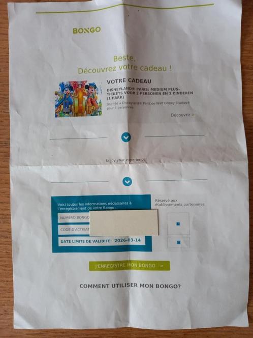 Bongo Disneyland Paris, Tickets en Kaartjes, Recreatie | Pretparken en Attractieparken