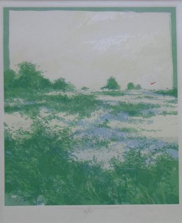 MARTIN R. BAEYENS / LANDSCHAP / KLEURLITHO / 52x42cm / KADER beschikbaar voor biedingen