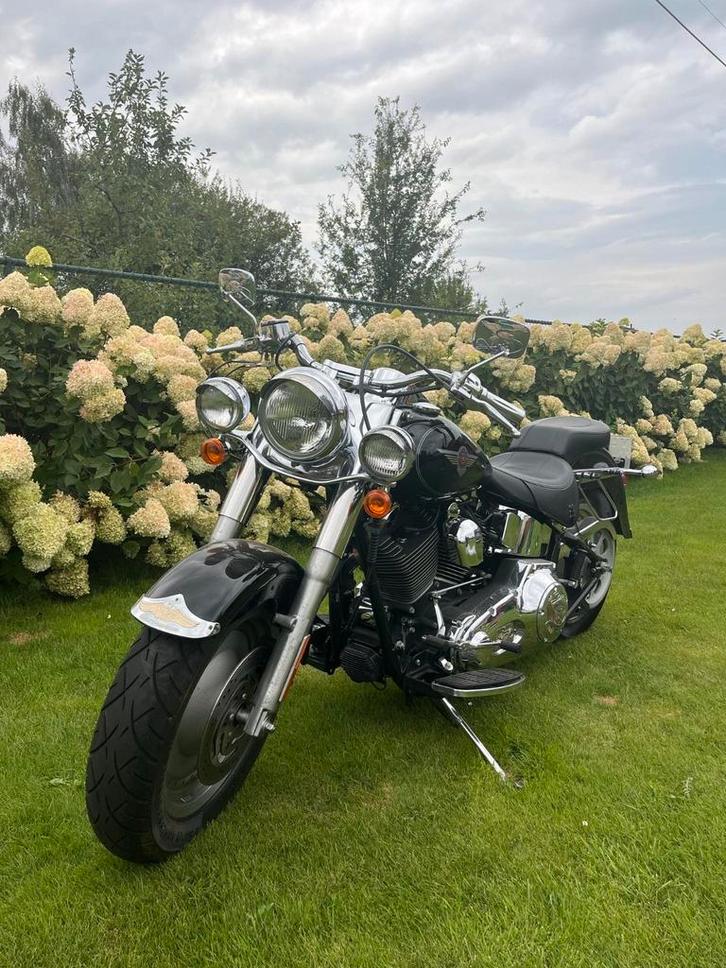 Fatboy, Motoren, Motoren | Harley-Davidson, Particulier, Ophalen