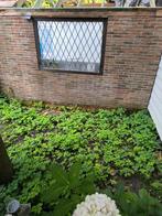 Raam met loodwerk, Ophalen