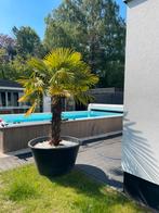 Recente halfopen nieuwbouw te koop te Evergem., Immo, Huizen en Appartementen te koop, Evergem, 0 kWh/jaar, Twee onder één kap
