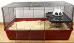 Cage hamster Alaska 80x50cm, Ophalen, Gebruikt, Kooi, Hamster