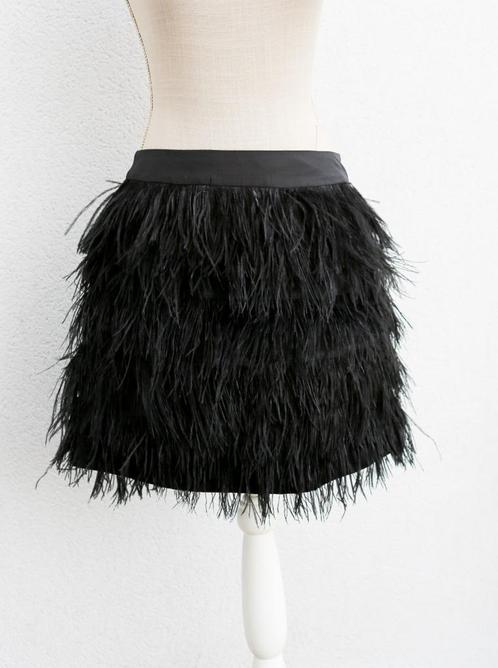Prachtige zwarte verenrok T40, Kleding | Dames, Rokken, Zo goed als nieuw, Maat 38/40 (M), Zwart, Ophalen of Verzenden
