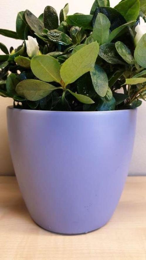 Bloempot, paars, hoogte 11cm, binnen diameter 10,5cm, nieuw!, Tuin en Terras, Bloempotten, Binnen, Ophalen of Verzenden