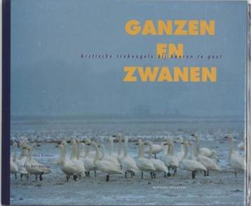 Ganzen en zwanen, B. Ebbinge BK   beschikbaar voor biedingen