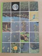 Les quatre saisons - Le printemps Artis-Historia 1983, Livres, Utilisé, Enlèvement ou Envoi