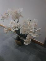 Orchidée dans son pot, Ophalen