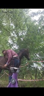 Bekappen paarden, Dieren en Toebehoren, Paarden en Pony's | Verzorgingsproducten, Ophalen of Verzenden