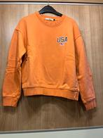 Sweater smal America Today, Vêtements | Femmes, Pulls & Gilets, Comme neuf, Enlèvement ou Envoi