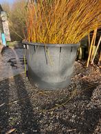 Tine 500 liter, Ophalen, Gebruikt