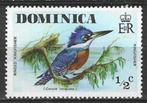 Dominica 1974 - Yvert 478 - Ceryle torquata (PF), Postzegels en Munten, Verzenden, Postfris
