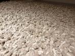 Gratis tapijt 300 x 180, Ophalen, Gebruikt, Beige, 150 tot 200 cm
