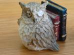 Twee uiltjes met boek en monocle, Verzamelen, Ophalen of Verzenden, Zo goed als nieuw, Dier