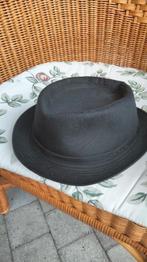Stetson hoed, Kleding | Dames, Hoeden en Petten, Ophalen of Verzenden, Zo goed als nieuw, Hoed