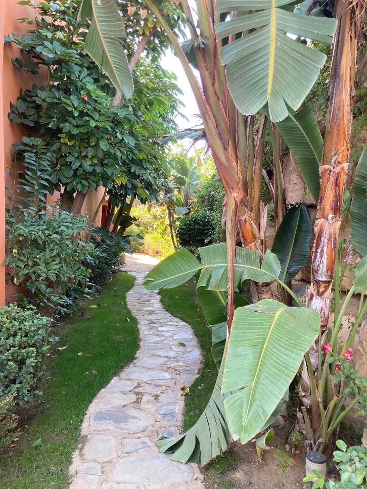 Vakantie verhuur in Andalucia (Estepona), Vacances, Maisons de vacances | Espagne, Costa del Sol, Appartement, Autres, Mer, 2 chambres