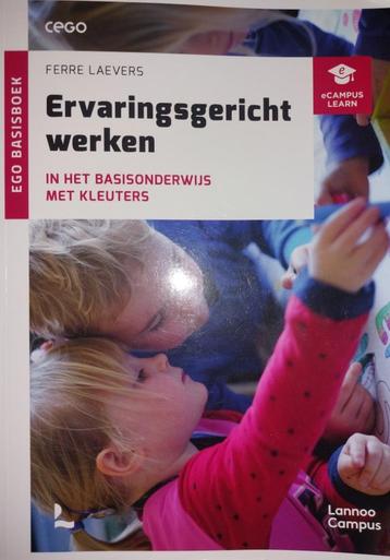 Boek: Ervaringsgericht werken disponible aux enchères