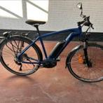 Speed Pedelec Minerva Bosch performance km/u, Fietsen en Brommers, Elektrische fietsen, Nieuw, 51 tot 55 cm, 50 km per accu of meer