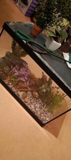 Aquarium avec pompe, décorations et 2 épuisettes, Animaux & Accessoires, Poissons | Aquariums & Accessoires, Enlèvement, Comme neuf