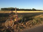 Achielle Sam maat 57, Fietsen en Brommers, Fietsen | Heren | Herenfietsen, Gebruikt, Versnellingen, 57 tot 61 cm, Ophalen