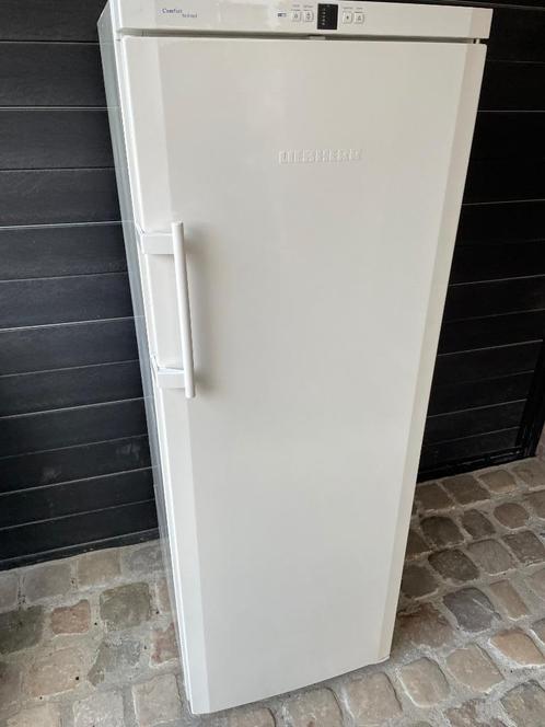 Diepvries Liebher, Elektronische apparatuur, Vriezers en Diepvrieskisten, Niet werkend, Vrijstaand, Vrieskast, 160 cm of meer