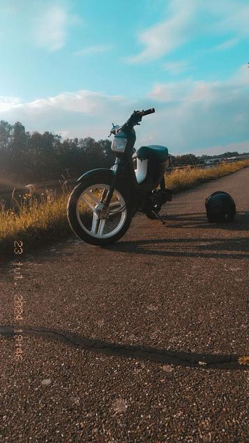 ik zoek een honda wallaroo project beschikbaar voor biedingen