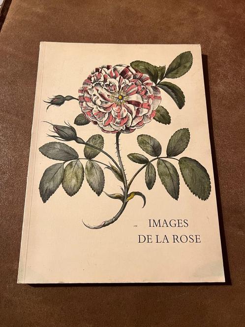 Images de la Rose - Jan Balis 1966, Livres, Art & Culture | Arts plastiques, Utilisé, Peinture et dessin, Enlèvement ou Envoi