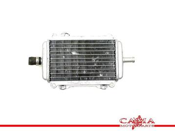 RADIATEUR EAU Piaggio GTS 250 i.e 2005-2013 (GTS250), Utilisé