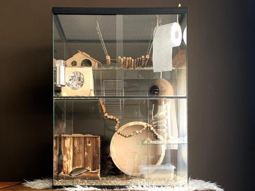 Gerbilarium kopen - Gerbil kooi van 60x40x80, Dieren en Toebehoren, Knaagdieren en Konijnen | Hokken en Kooien, Nieuw, Hok, 60 tot 90 cm