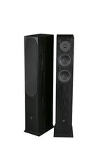 DLS R55 AB High End Speakers, Audio, Tv en Foto, Overige merken, Nieuw, Ophalen of Verzenden, 120 watt of meer