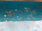 Koi karper 10-12cm A kwaliteit