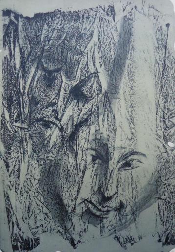 DRIES VAN DEN BROECK / FIGURATIE / KLEURLITHO / 50x37cm SIG beschikbaar voor biedingen