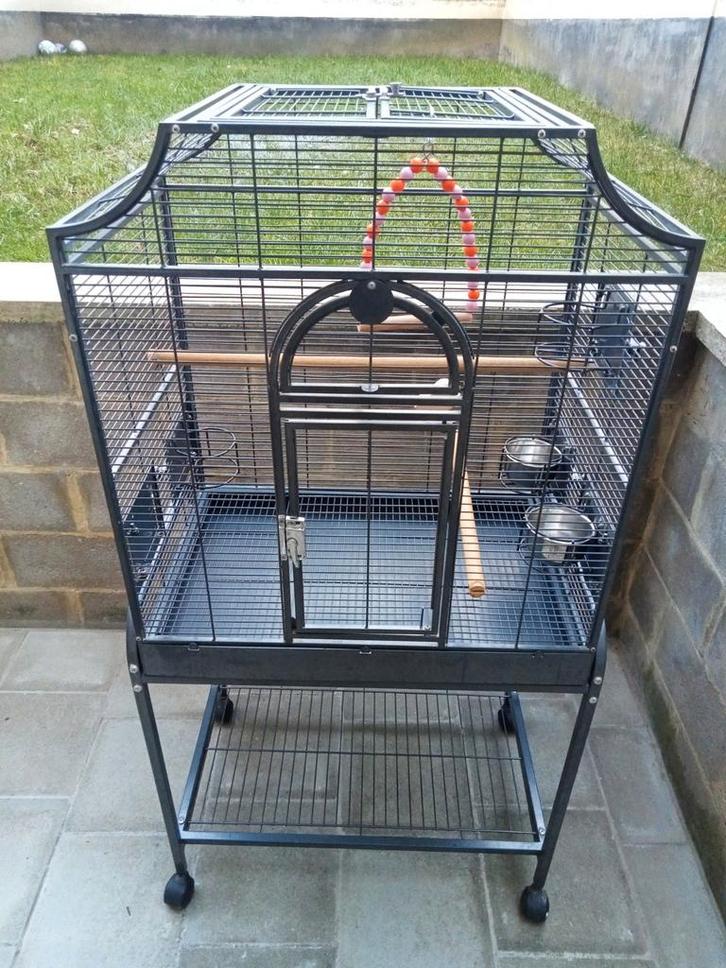 Cage montana avec les accessoires, Animaux & Accessoires, Oiseaux | Cages & Volières, Neuf, Cage à oiseaux, Enlèvement