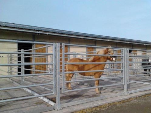 boxe/pension chevaux et poneys, Dieren en Toebehoren, Stalling en Weidegang, 4 paarden of pony's of meer