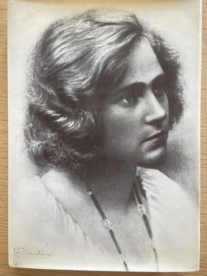 Alice Nahon Verzamelde gedichten, Boeken, Biografieën, Ophalen of Verzenden