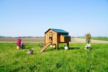 Trespa Kippenhok / Duplex 4XL - Cucciolotta, Enlèvement ou Envoi, Neuf, Poulailler