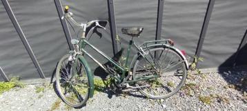 kotfietsen beschikbaar voor biedingen