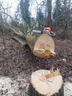 Gratis vellen en opruimen van uitgewaaide bomen., Ophalen, Stammen