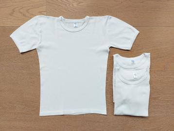HL Tricot / Molentje 3 witte shirts 152/164 (12-14 jaar)