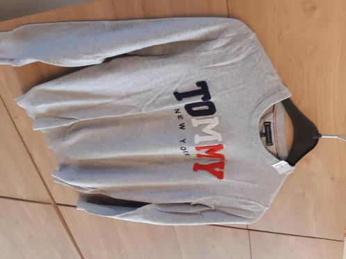 Grijze trui (geen sweater) TOMMY HILFIGER - maat 164, Enfants & Bébés, Vêtements enfant | Taille 164, Utilisé, Garçon, Pull ou Veste