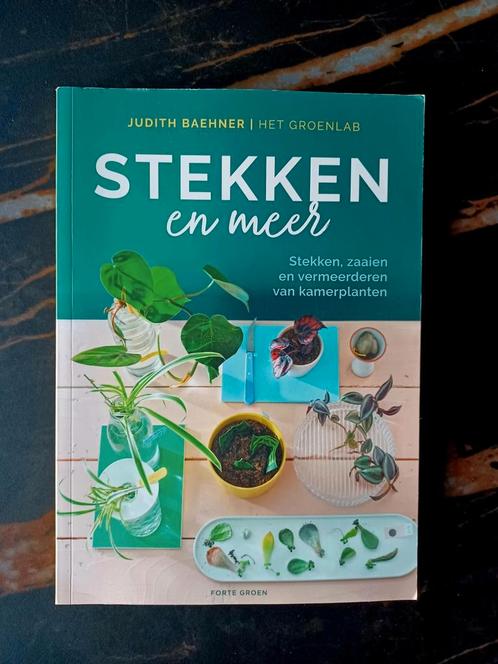 Judith Baehner - Stekken en meer, Boeken, Wonen en Tuinieren, Nieuw, Kamerplanten, Ophalen of Verzenden