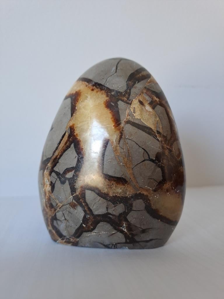 Septarie 9 cm, Verzamelen, Ophalen of Verzenden