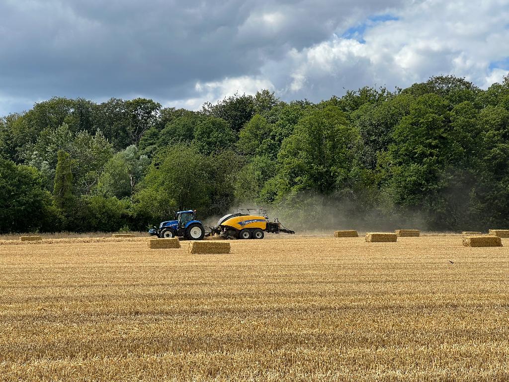 Stro grote balen, Ophalen