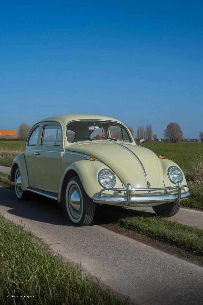 Vw kever 1200 Beryl green gerestaureerd + garantie, Auto's, Volkswagen, Bedrijf, Te koop, Beetle (Kever), Benzine, Coupé, 2 deurs