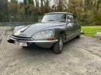 Citroën DS 23 Pallas Classic Car 1973, Achat, Entreprise, Citroën, Autre carrosserie