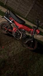 Honda dax skyteam, Fietsen en Brommers, Overige modellen, 4 versnellingen, 49 cc, Ophalen of Verzenden