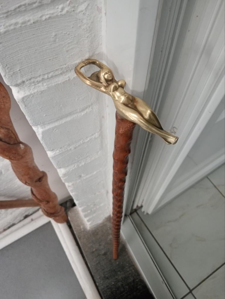 Canne en néflier, Diversen, Wandelstokken