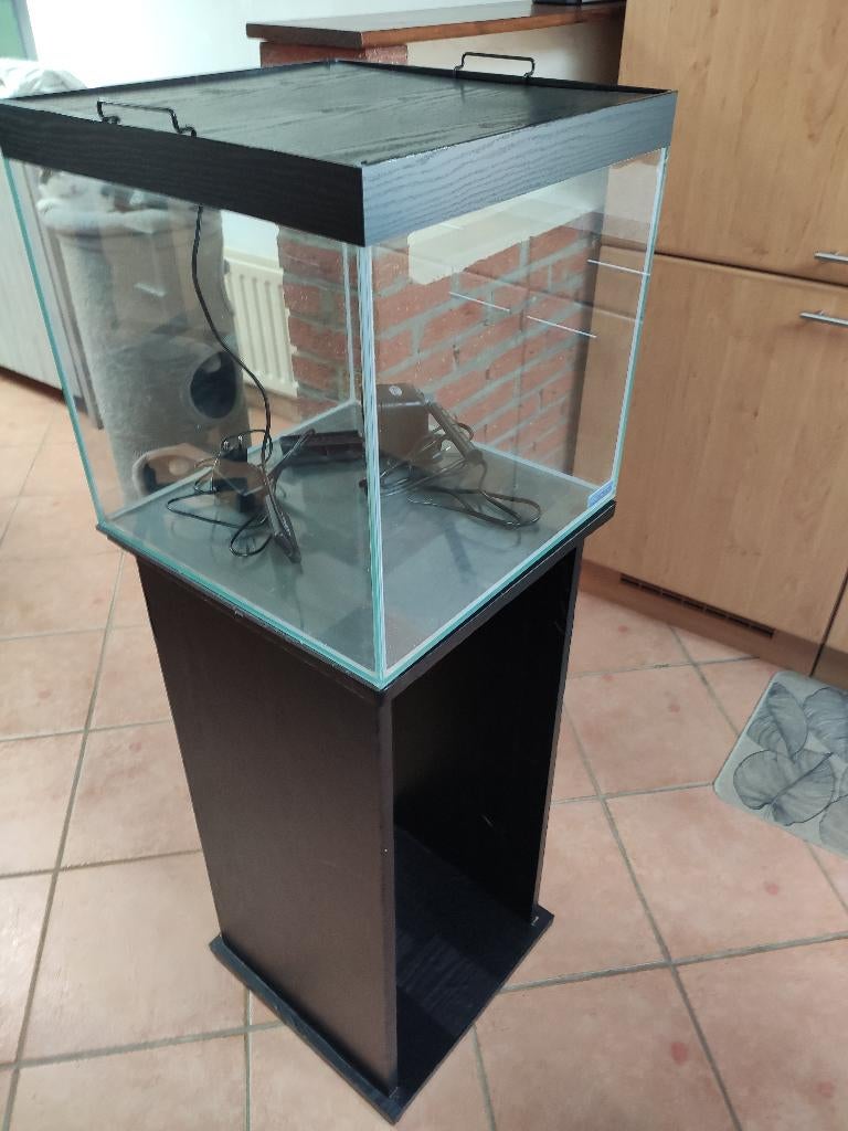 Aquarium Cube Sera 60L, Ophalen, Gebruikt, Sera, Pomp