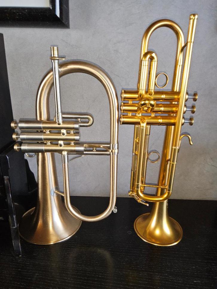 Bugle ADAMS F2 et trompette B&S, Musique & Instruments, Instruments à vent | Trompettes, Neuf, Trompette en si bémol, Avec valise