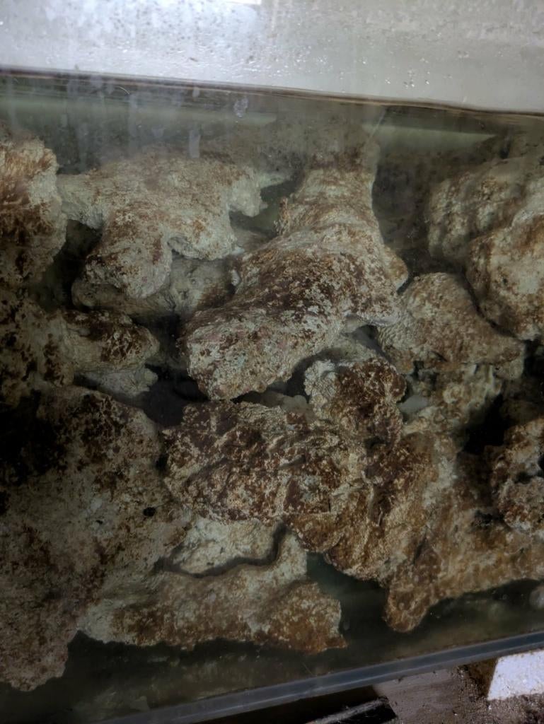 Pierres vivantes pour aquarium récifal (200kg), Animaux & Accessoires, Enlèvement, Sera